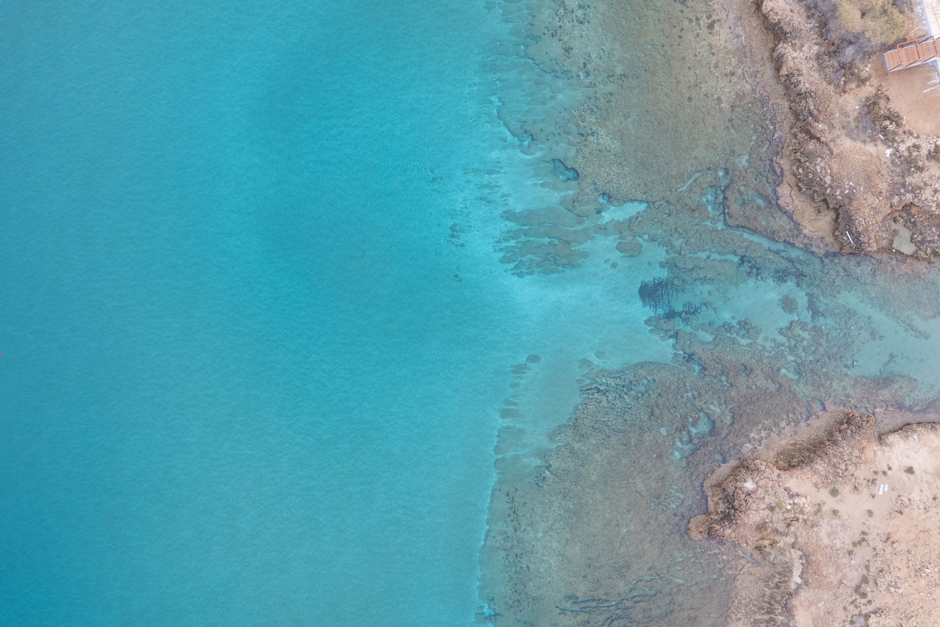 Overhead aerial view of clear turquoise water meeting a pale rocky Cyprus shoreline, with shallow reefs visible under the surface