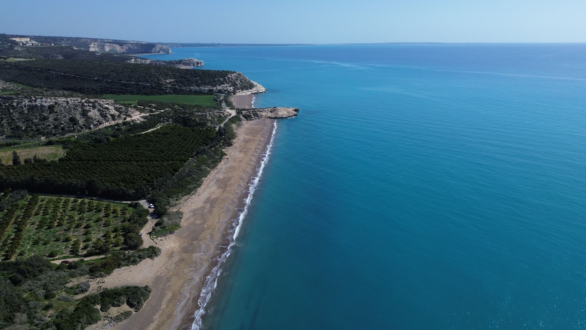 An aerial view of a long sandy Cyprus beach curving beside turquoise water, with orchards and low green hills running down to the shoreline