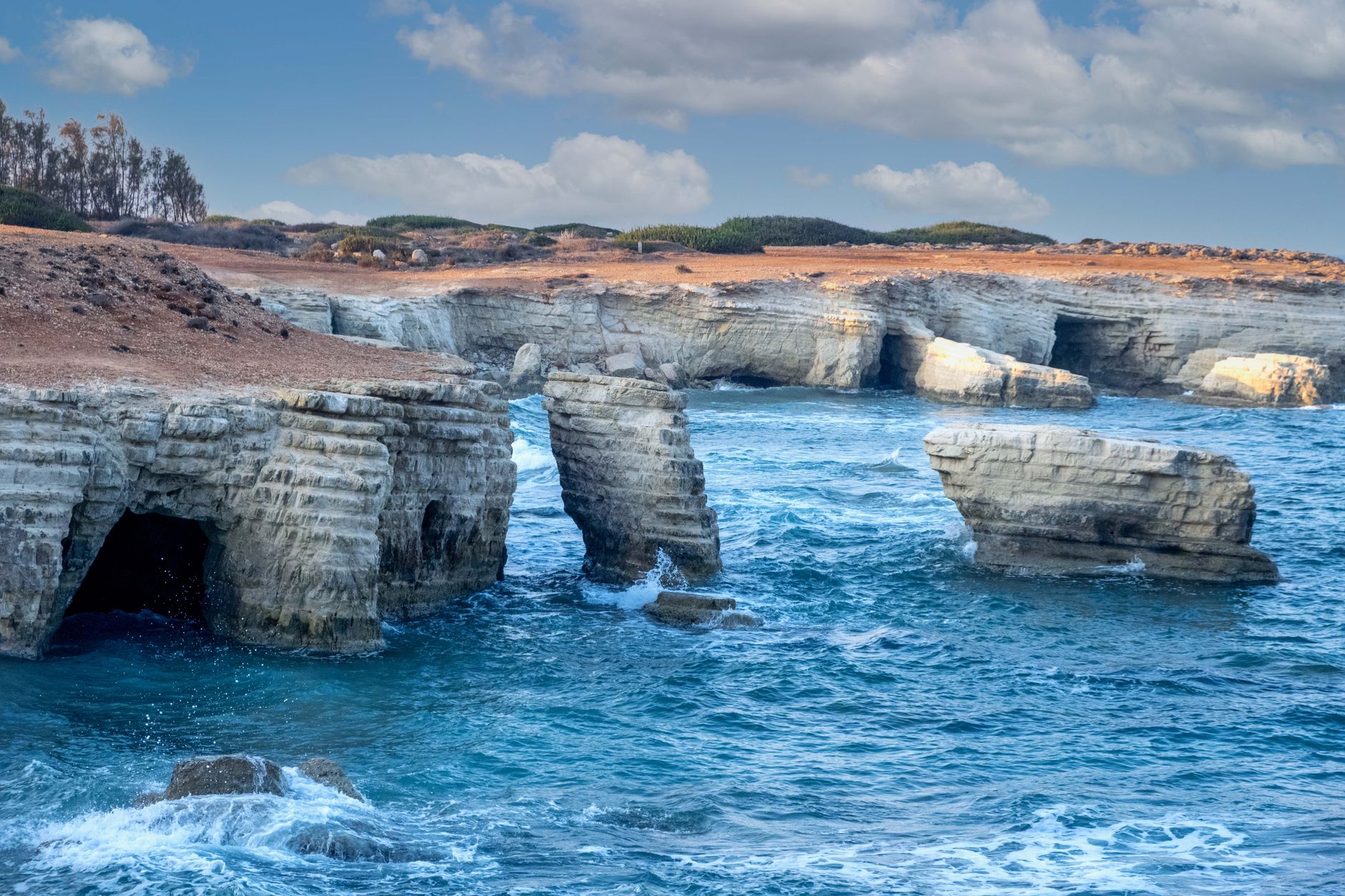 Limestone sea caves and eroded rock arches on the Cyprus coast, with deep blue water breaking against them and dry scrub on the headland above
