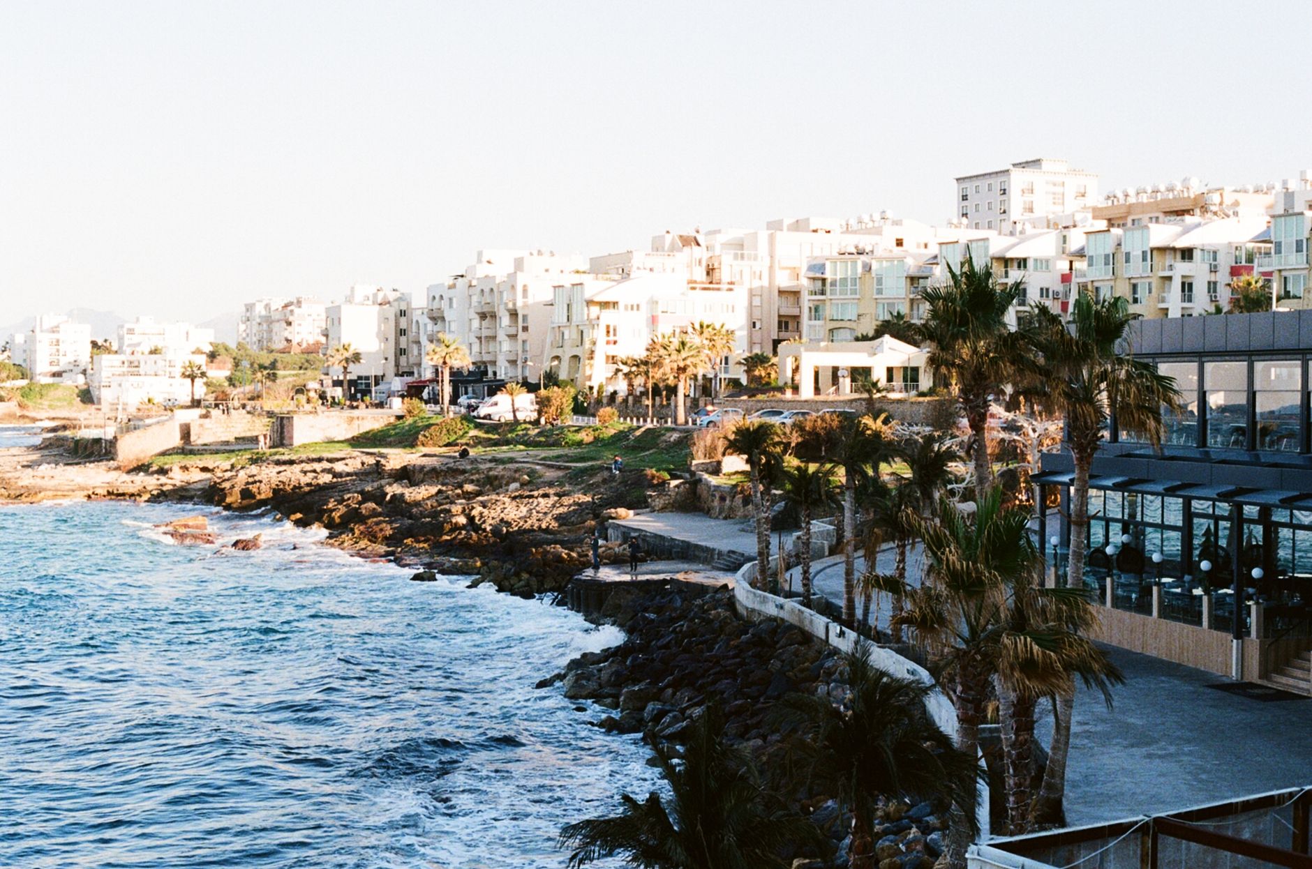 A Cyprus seafront at golden hour: pale apartment blocks with glass balconies rising above a rocky shore, a palm-lined promenade curving along the water, and surf breaking over dark rocks