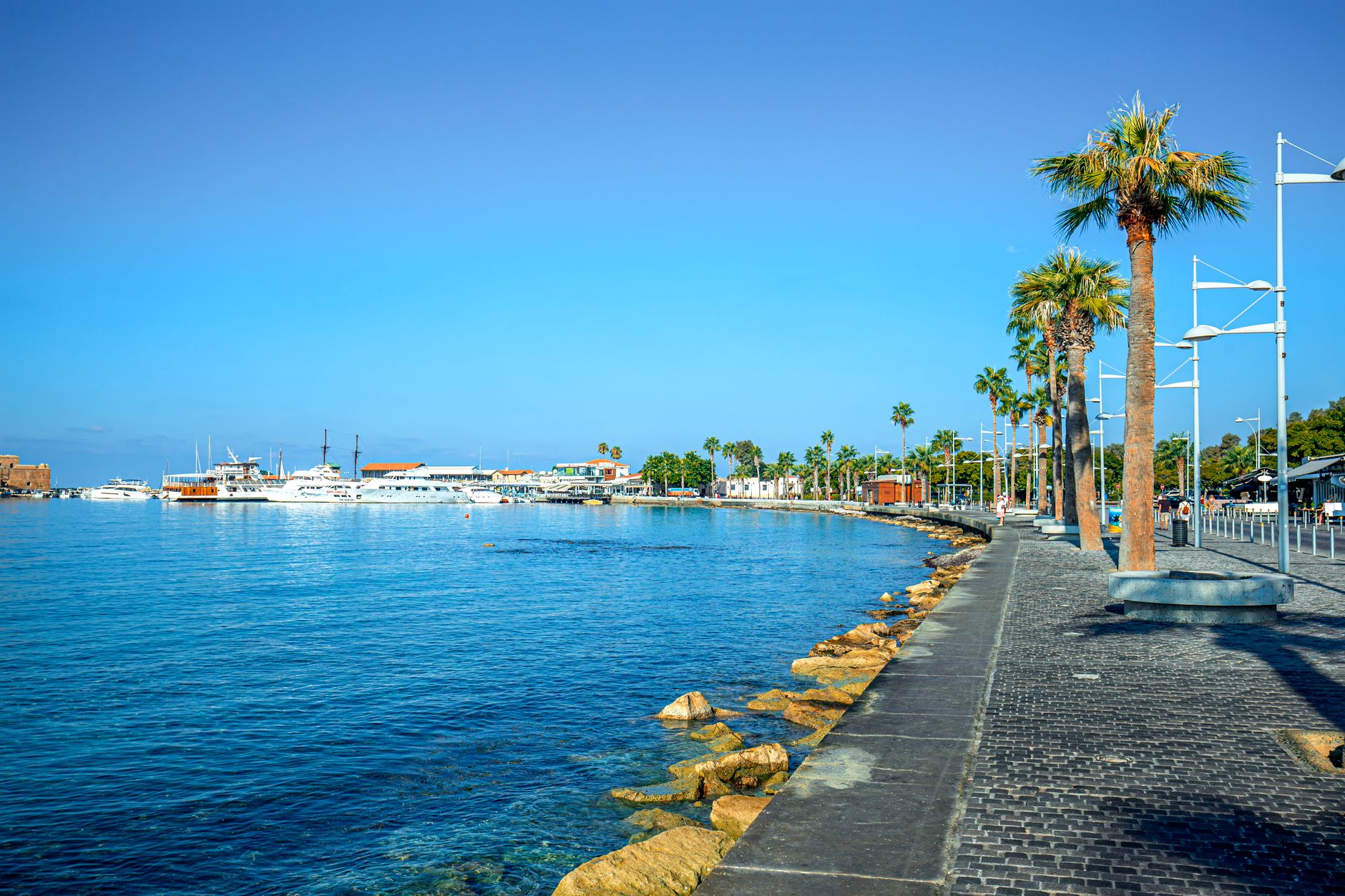 A wide palm-lined seafront promenade in Cyprus, with yachts and tour boats moored beside a low sandstone harbour fort
