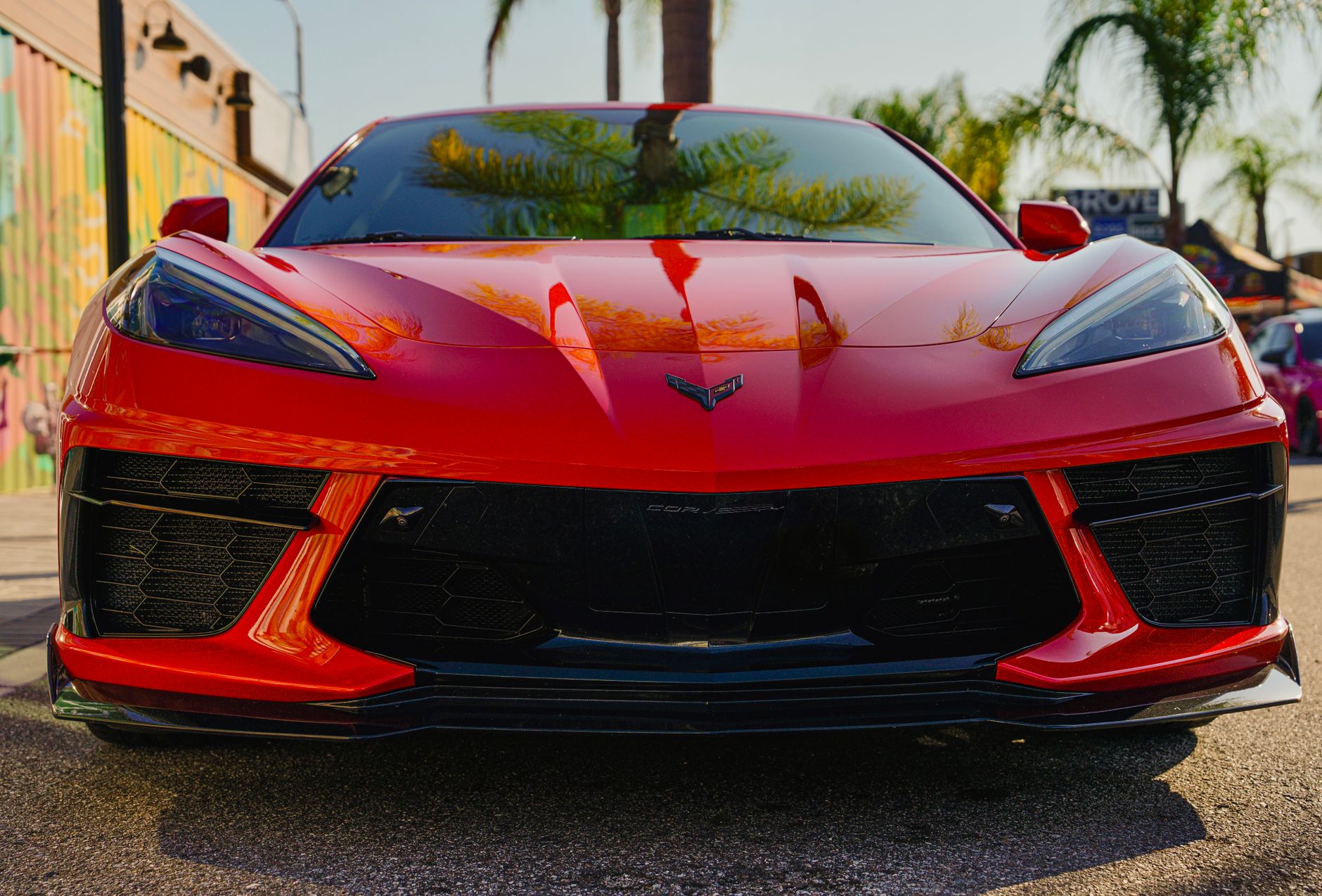 A red sports car photographed head-on in bright Cyprus sunshine, with palm trees reflected in the paintwork