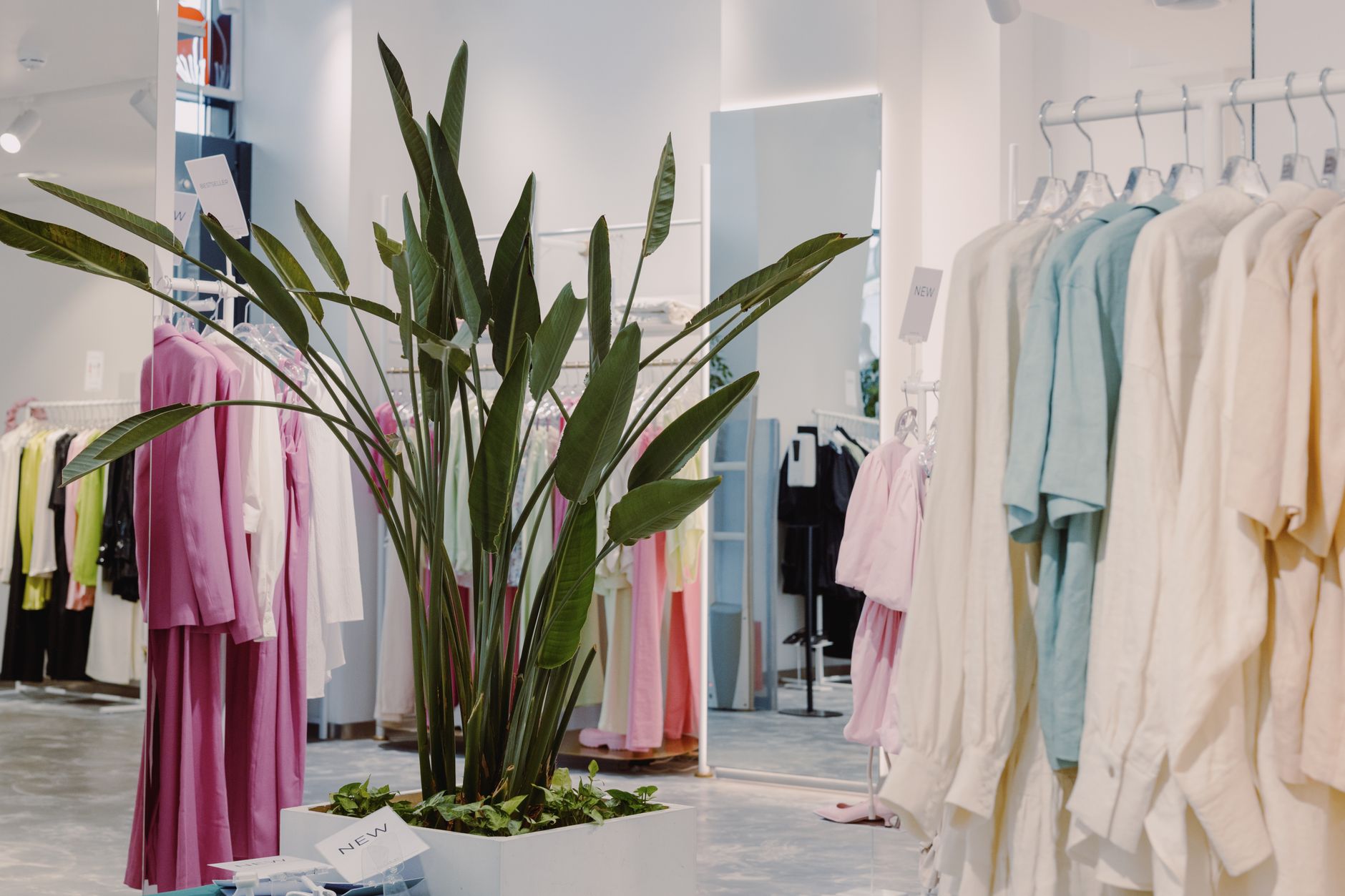 The inside of a bright white fashion boutique, a tall potted bird-of-paradise plant in the foreground and rails of pastel linen shirts, pink dresses and cream jackets on chrome hangers behind
